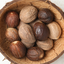 Assorted nutmeg seeds in a coconut shell bowl, representing natural and organic skincare components