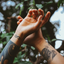 Two tattooed hands reaching upward against a leafy background, demonstrating care for tattooed skin